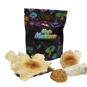 Magic Mushroom Fruit Non Detect