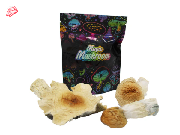 Magic Mushroom Fruit Non Detect